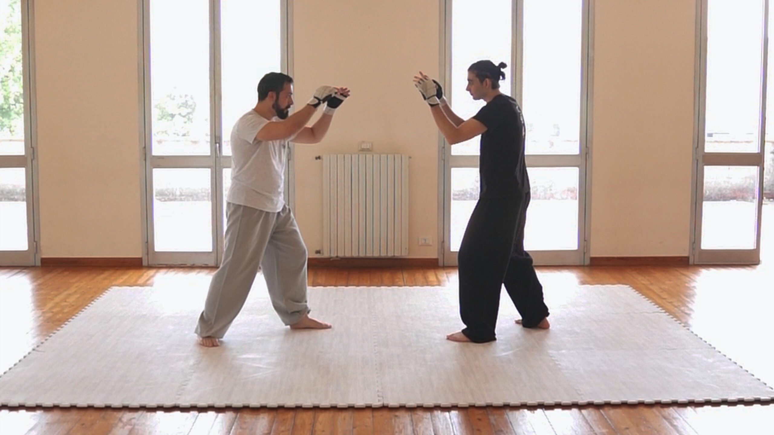Master Class di Formazione Taijiquan ITKA  | Applicazione negli sport da combattimento